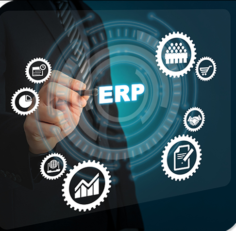 ERP System Interface