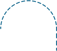 Vector